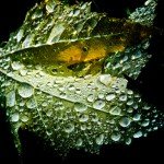 sample-image-7