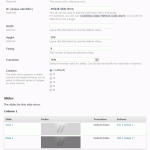 slide-show-options