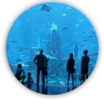 family-travel