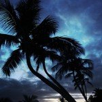 328917687_98788779c2