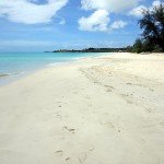 5916097334_05d951eb6f