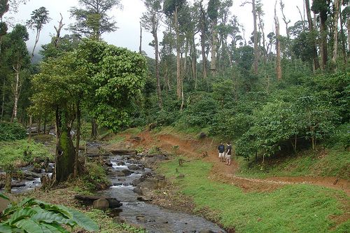 Coorg