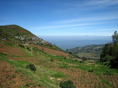 Hill Station