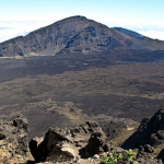 leleiwi