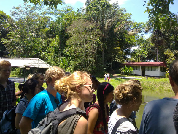 Volunteer Manatee Conservation Program Peru
