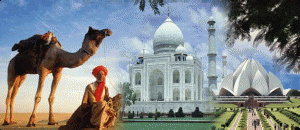 golden-triangle- tour golden-triangle- tour