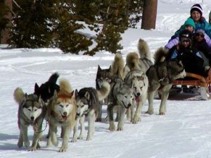 source: www.highcountryactivities.com