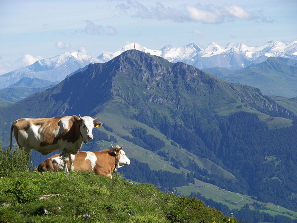 Alps Family Vacation