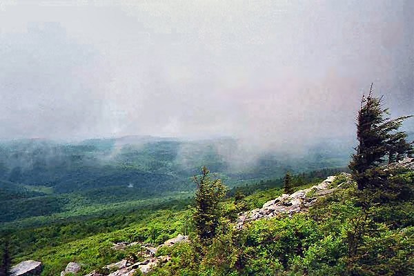 Activities in West Virginia