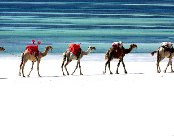 Adventure Holidays for Families