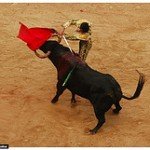 764311049_d9a3b7dcb1_m