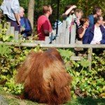 Durrell Wildlife Park