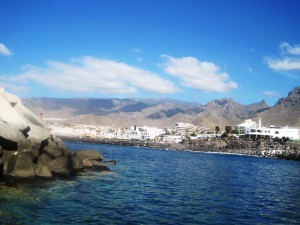 IMG_7819