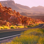 the most scenic family road trips