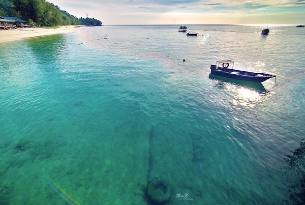Tioman Island - The Tire Tioman Island - The Tire