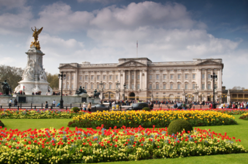 buckinghampalace03