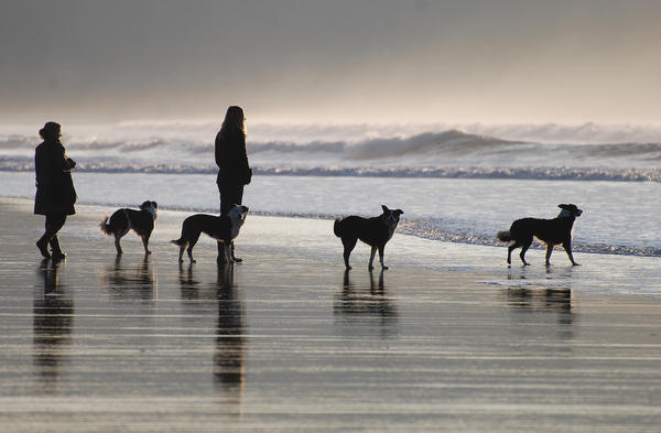 DSC_0077  Woolacombe Bay