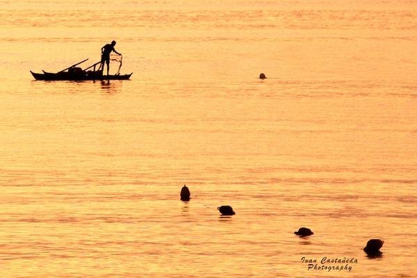 Fishing Holiday Fishing Holiday