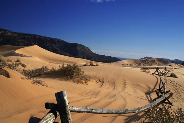 Coral Pink Sand Dunes State Park