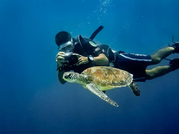 Scuba Diving Holidays