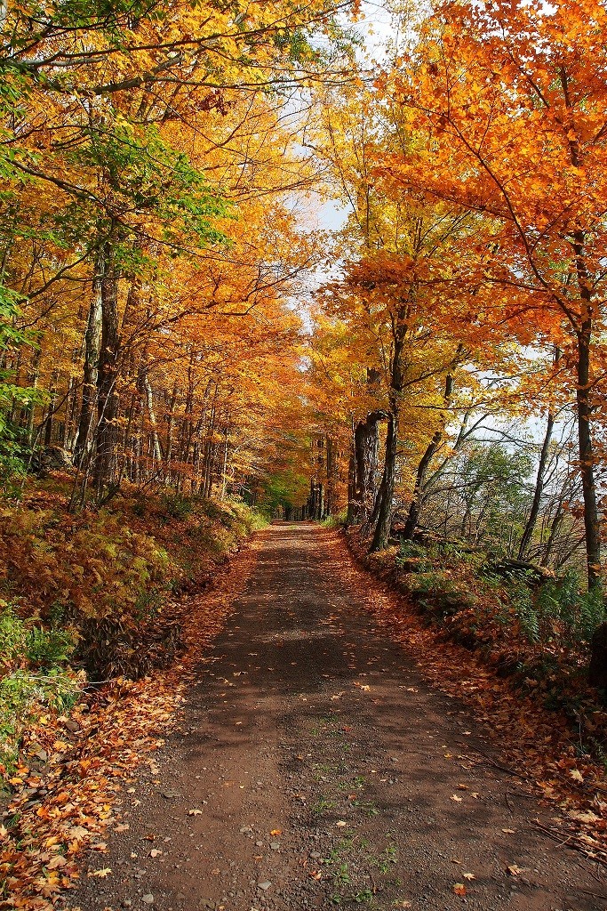 Catskills