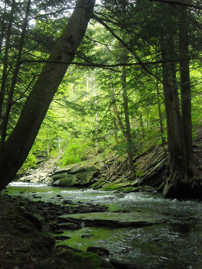 Catskills nature