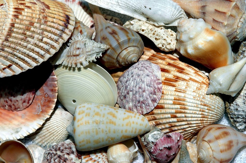 Sanibel Island Florida